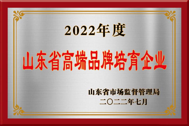 山東高端品牌培育企業